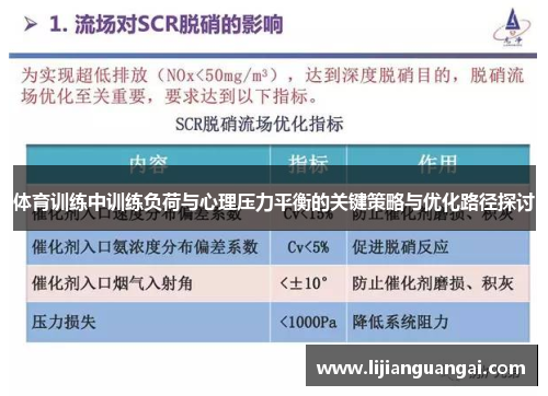 体育训练中训练负荷与心理压力平衡的关键策略与优化路径探讨